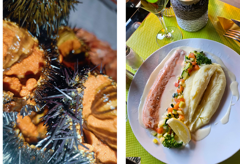 Le Restaurant - Le Refuge Du Phoenix - Restaurant Saint Jean en Royans - restaurant a faire ECHEVIS